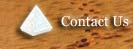 Contact Us Button